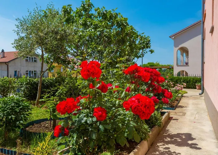 Apartman Amaic1 *